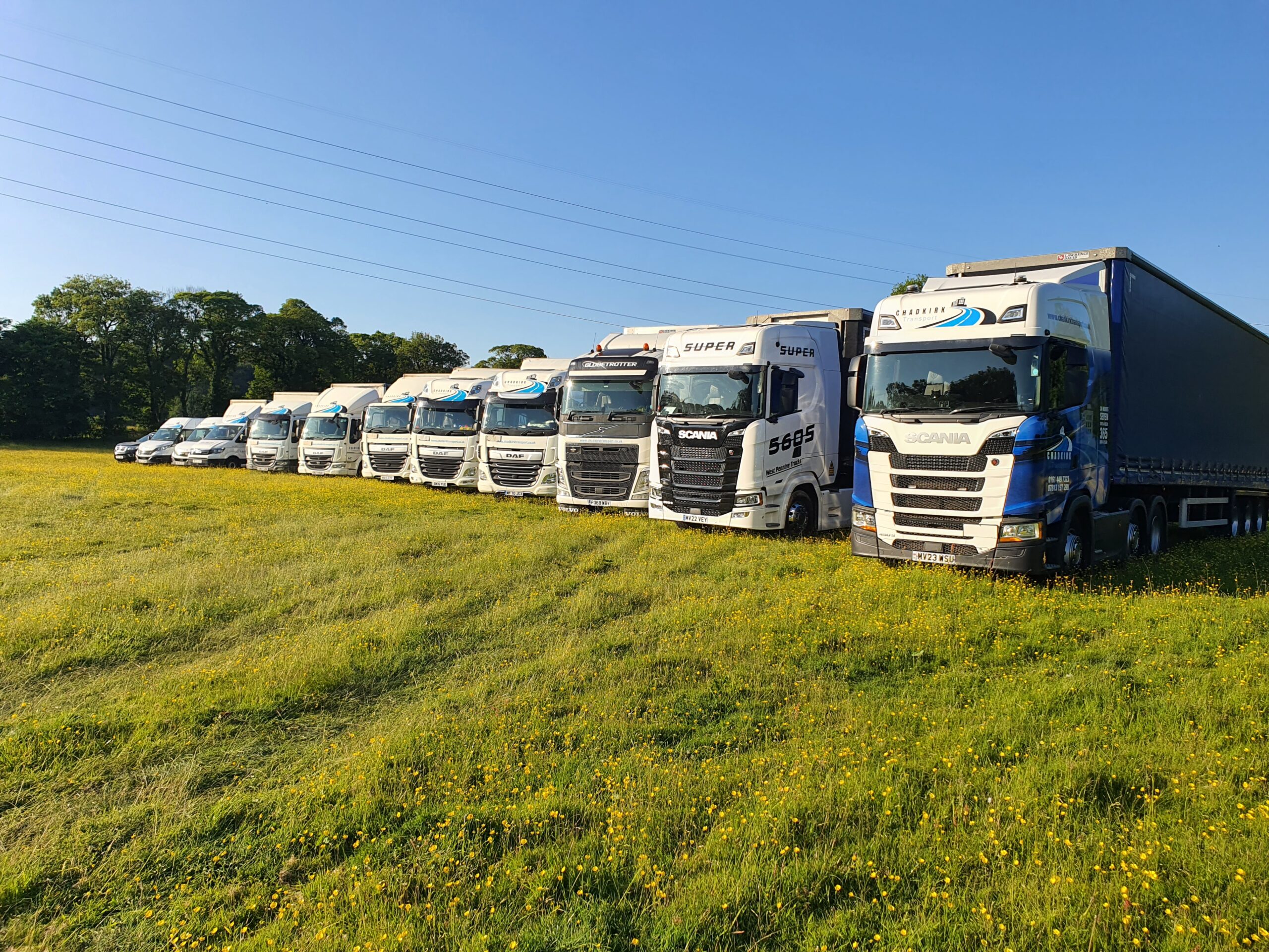 20230605_190542-scaled